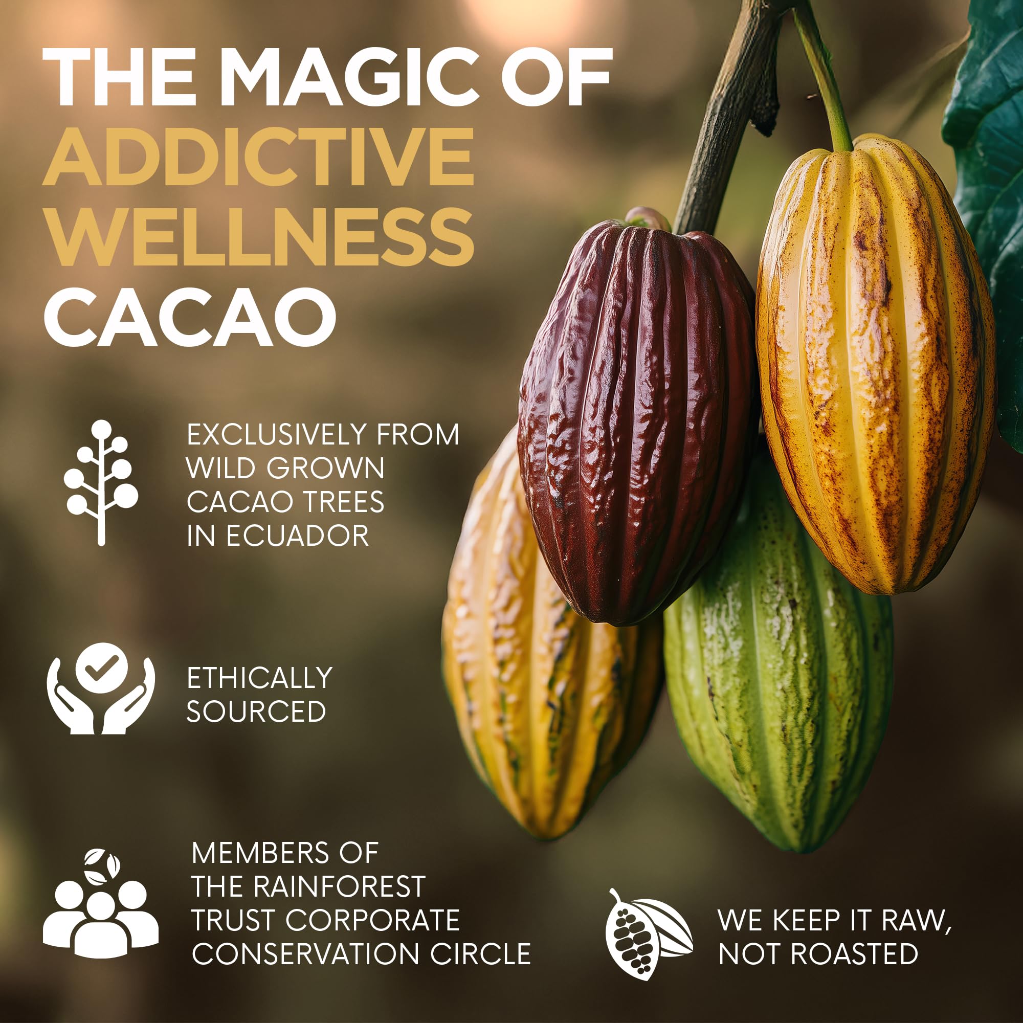 Addictive Wellness Raw Cacao Powder pouring from a jar for keto and paleo meals.
