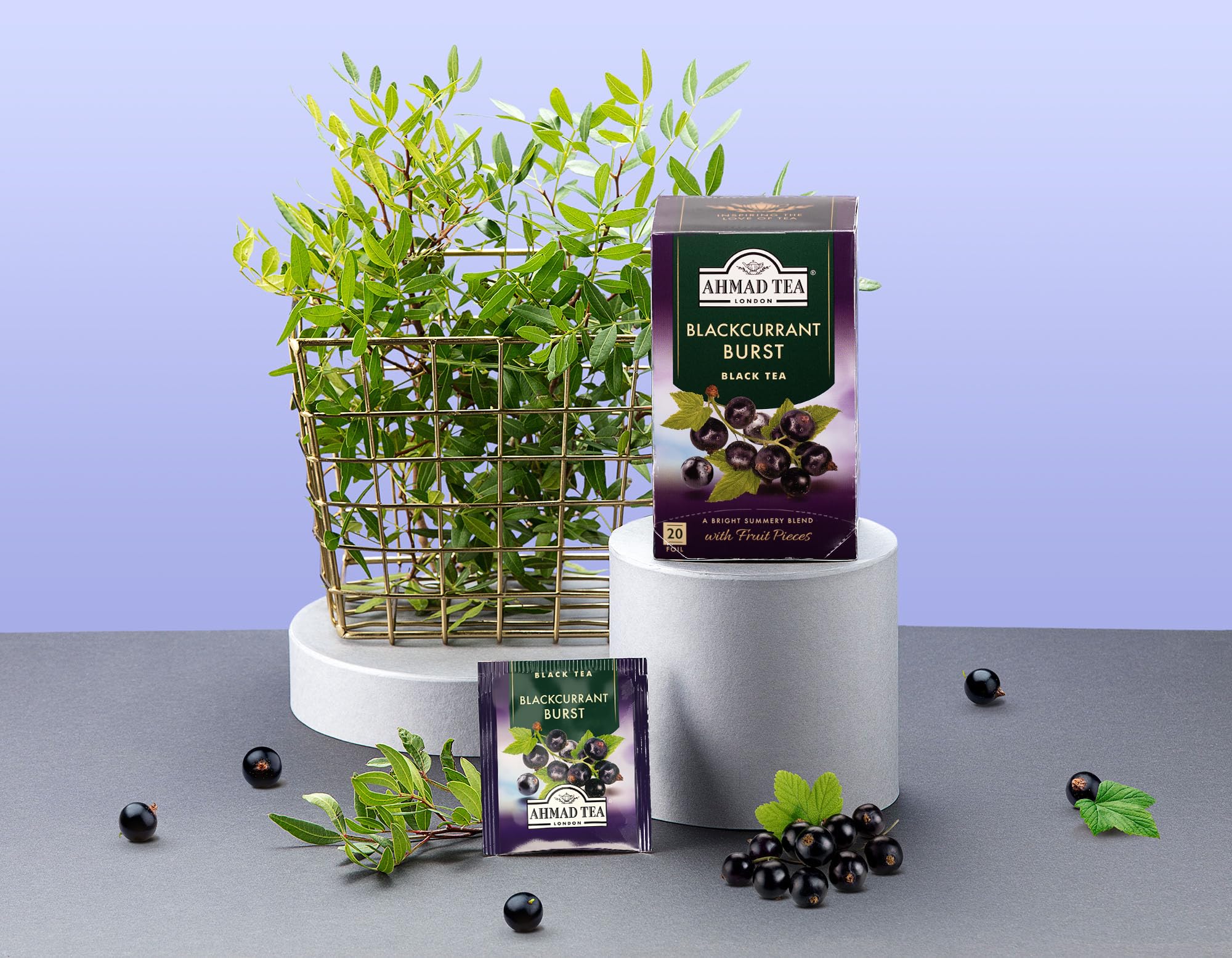 Ahmad Tea Blackcurrant Burst packaging with label and flavor notes.