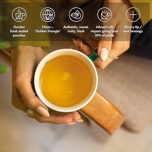 Ahmad Tea Green Tea infusion, subtly colored with warm grassy aromas