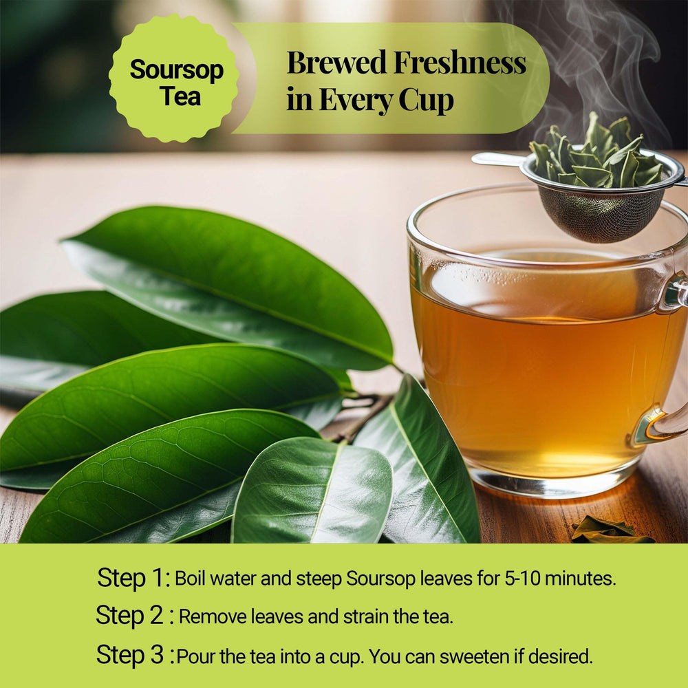 Handpicked Akshit Graviola leaves reflect quality and careful harvest.
