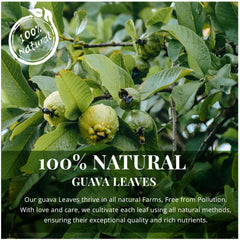 Akshit guava leaf tea being brewed, releasing fragrant aroma.