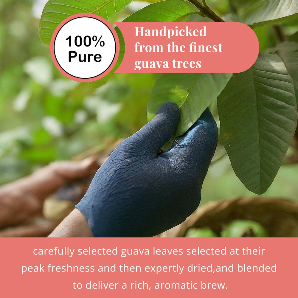 Akshit guava leaves for hair care, natural beauty routine.