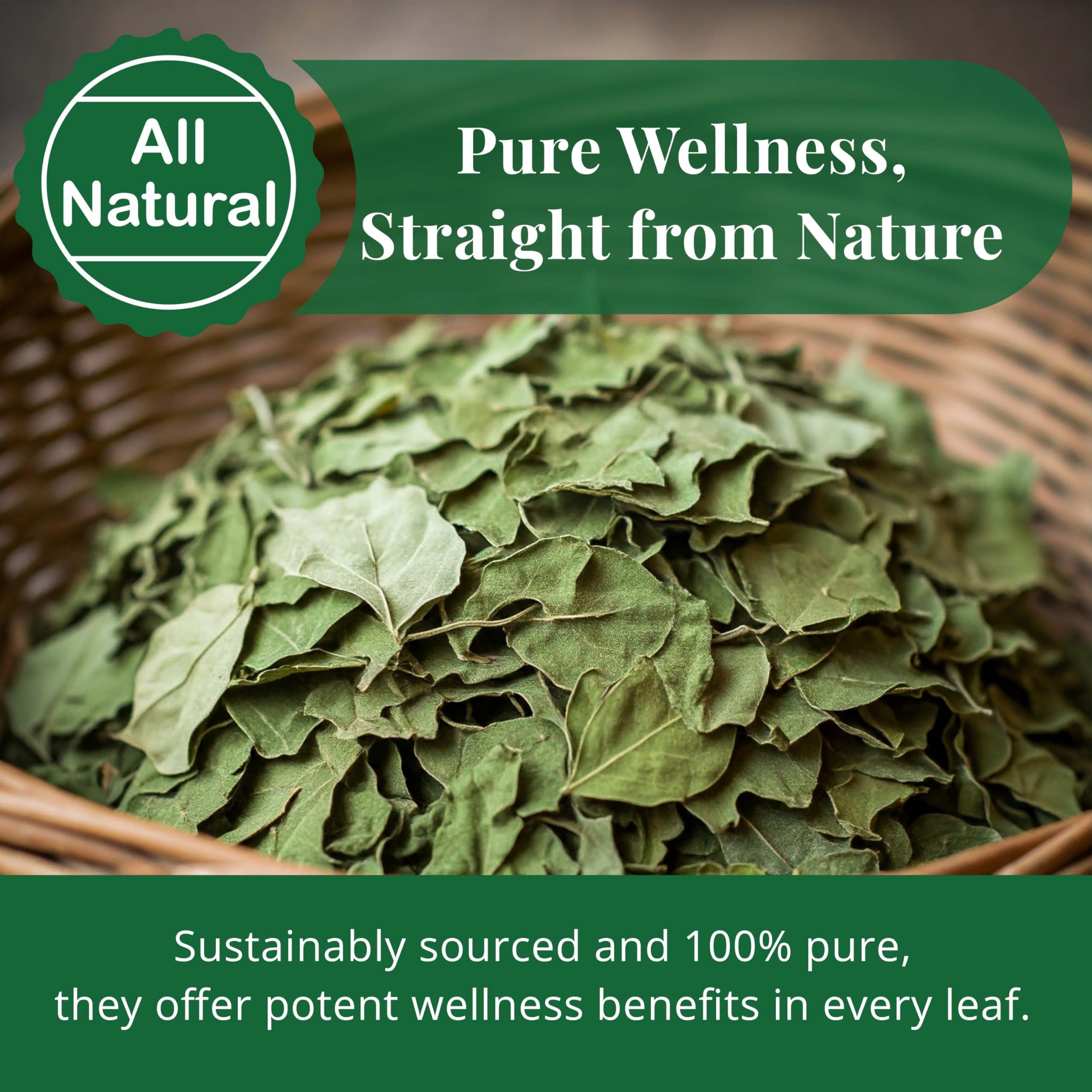 Akshit Moringa hair mask application for shine