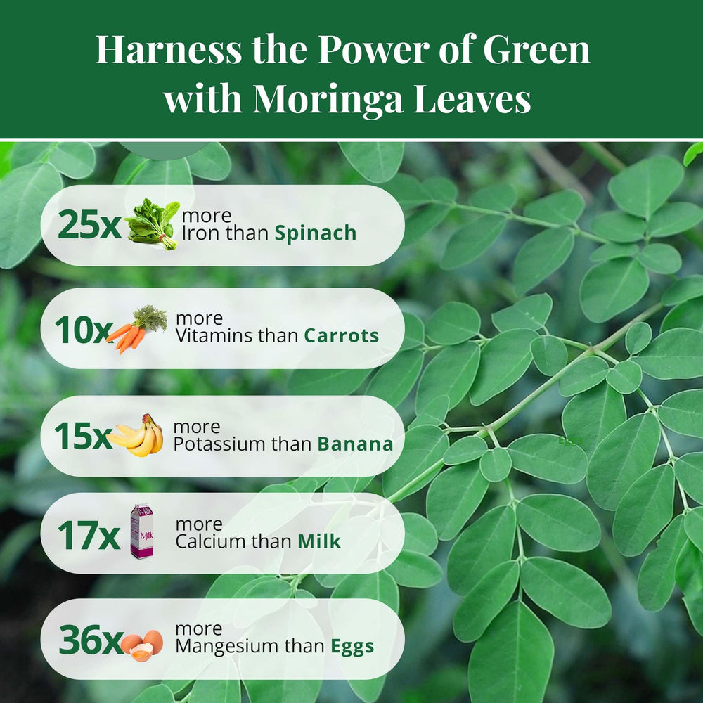 Akshit Moringa skin-care mask made from crushed leaves