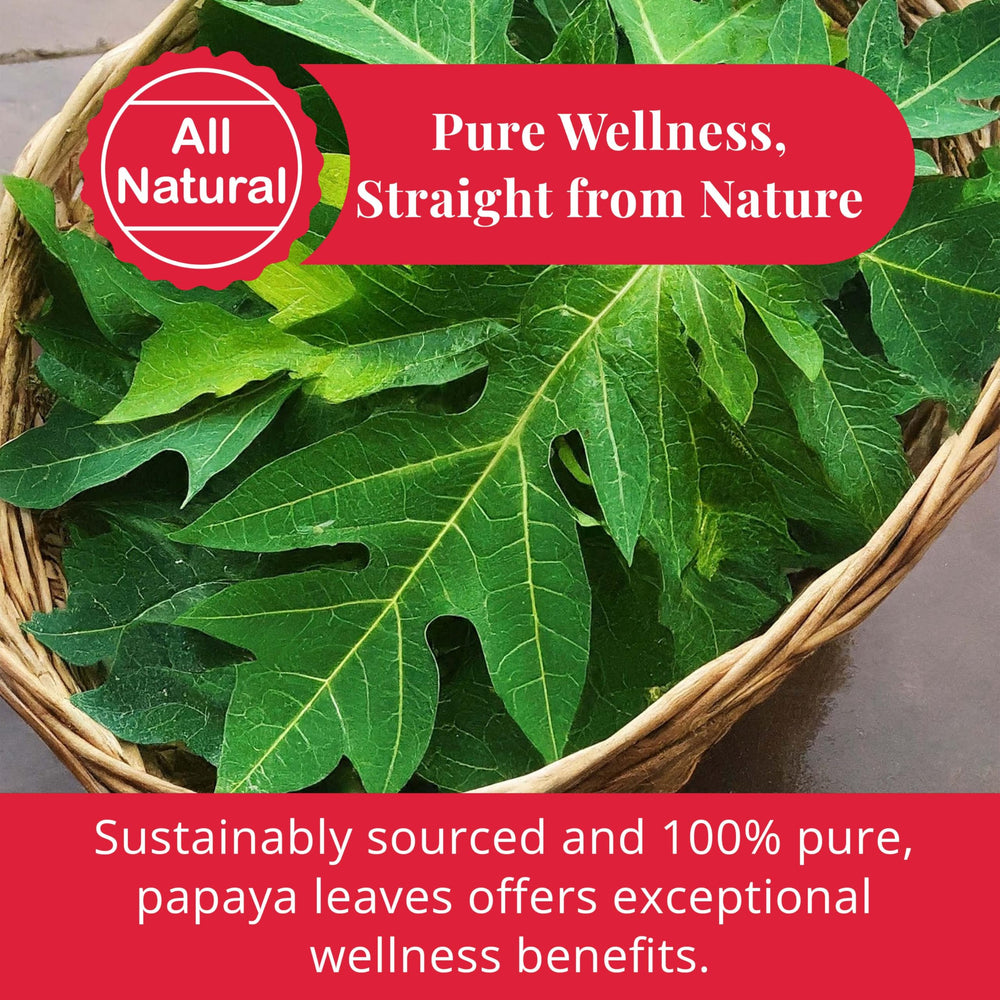 Akshit sun-dried papaya leaves preserving aroma and color.