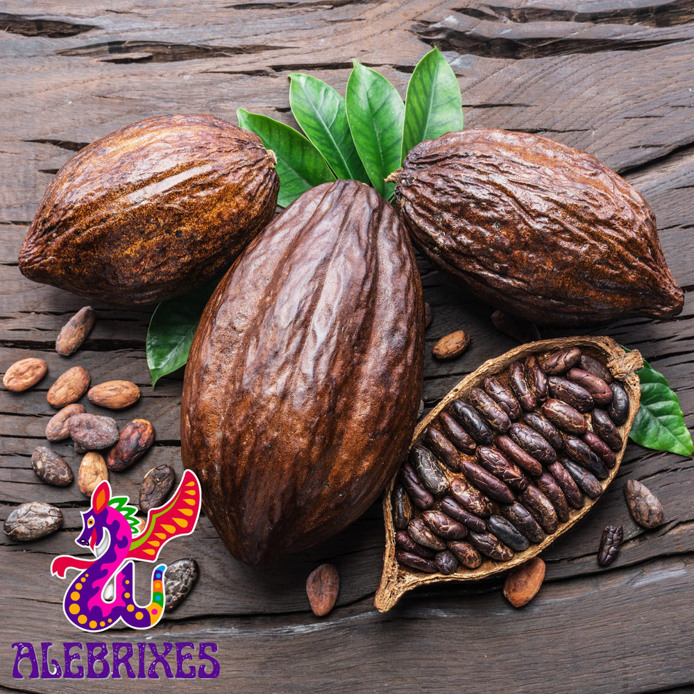 AleBrixes cacao bean texture closeup highlighting natural grains and earthy notes
