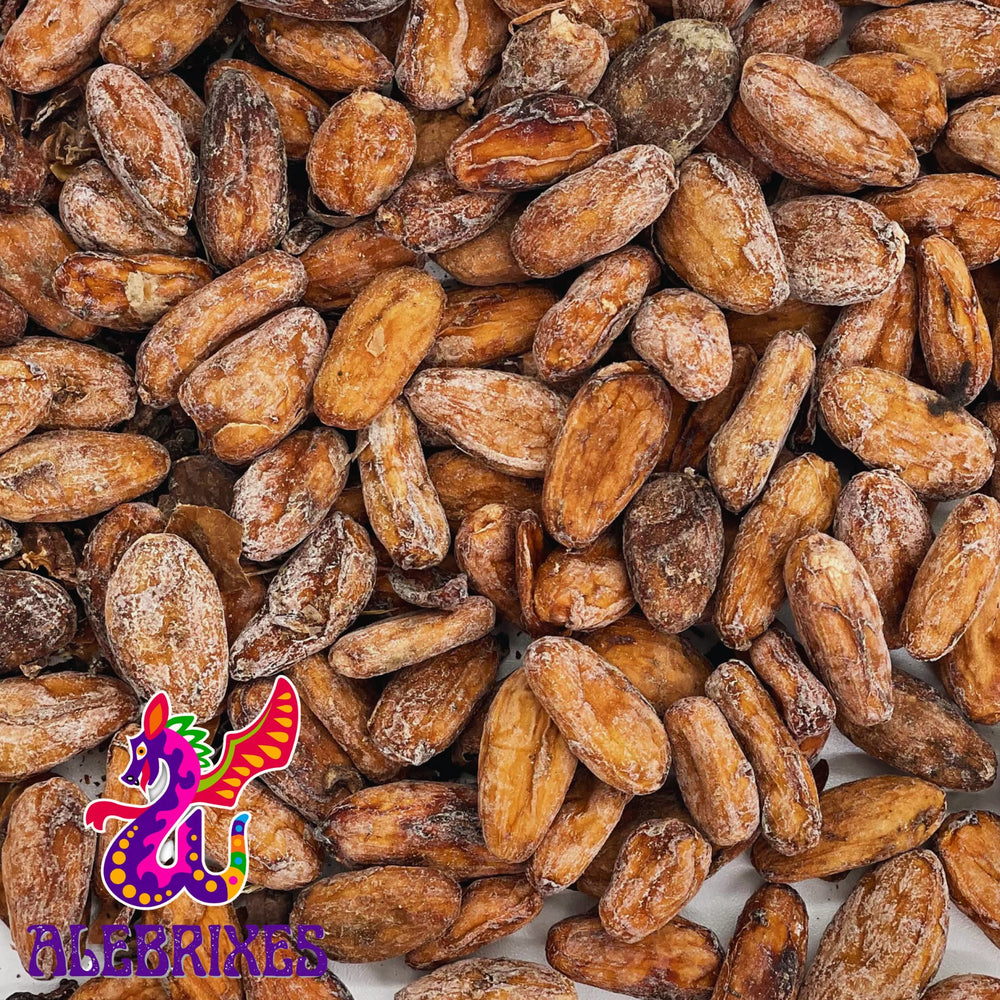 AleBrixes raw cacao beans closeup showing rich aroma and potential uses