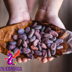 AleBrixes raw cacao beans in a bowl, ready for grinding or culinary experimentation