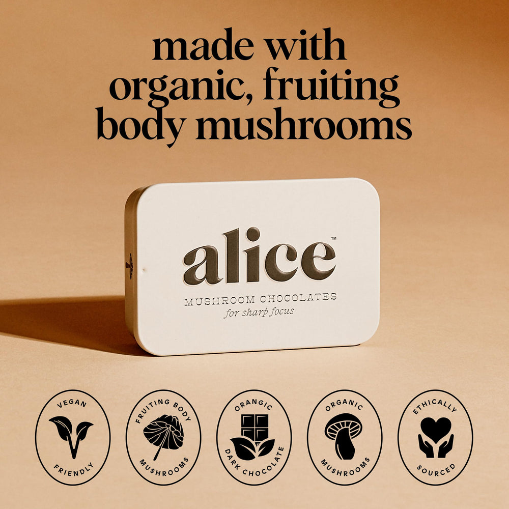 Alice Brainstorm Lions Mane Cordyceps image highlights the medicinal mushroom duo for focus