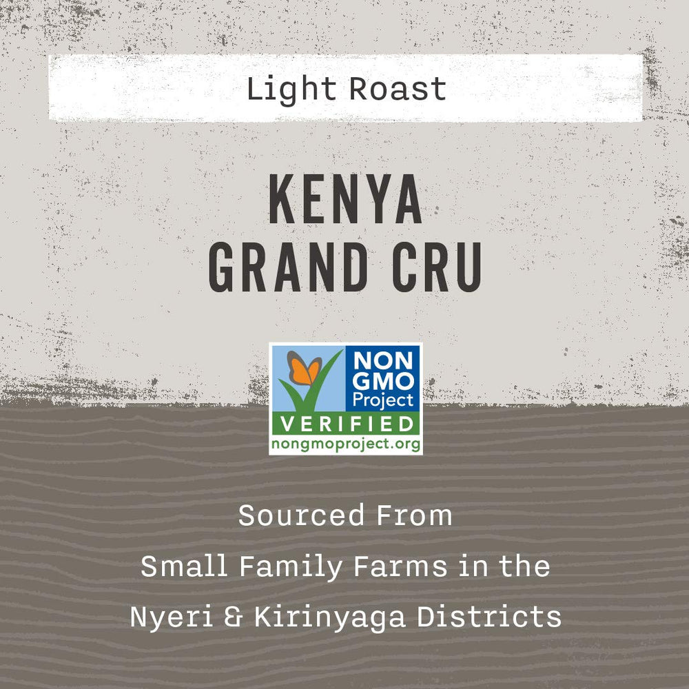 Allegro Coffee Kenya Grand Cru beans closeup showing glossy, uniform size
