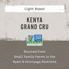 Allegro Coffee Kenya Grand Cru beans closeup showing glossy, uniform size