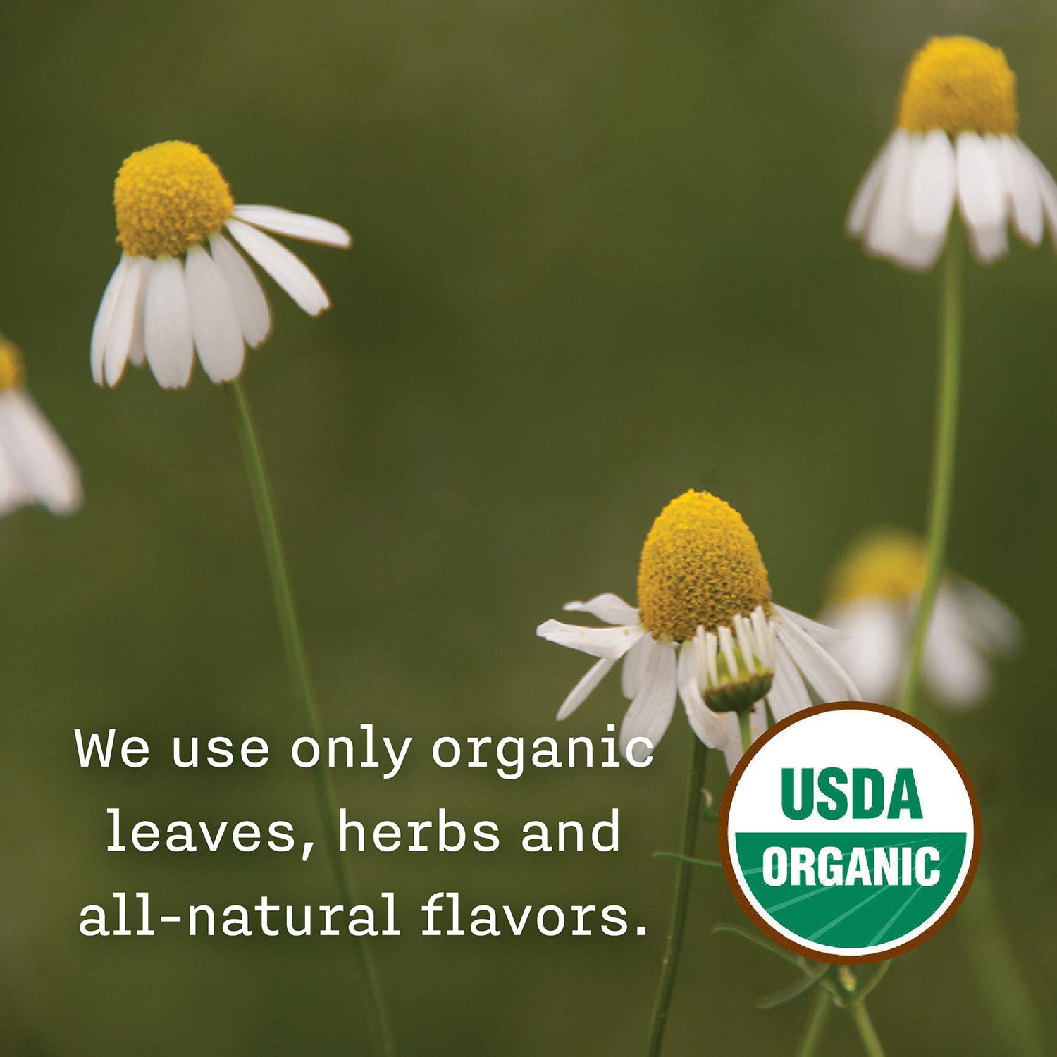 Allegro Tea chamomile hawthorn eleuthero rose blend in a cup, aromatic and comforting.