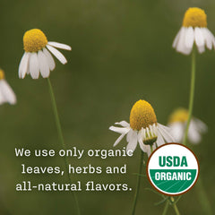Allegro Tea chamomile hawthorn eleuthero rose blend in a cup, aromatic and comforting.