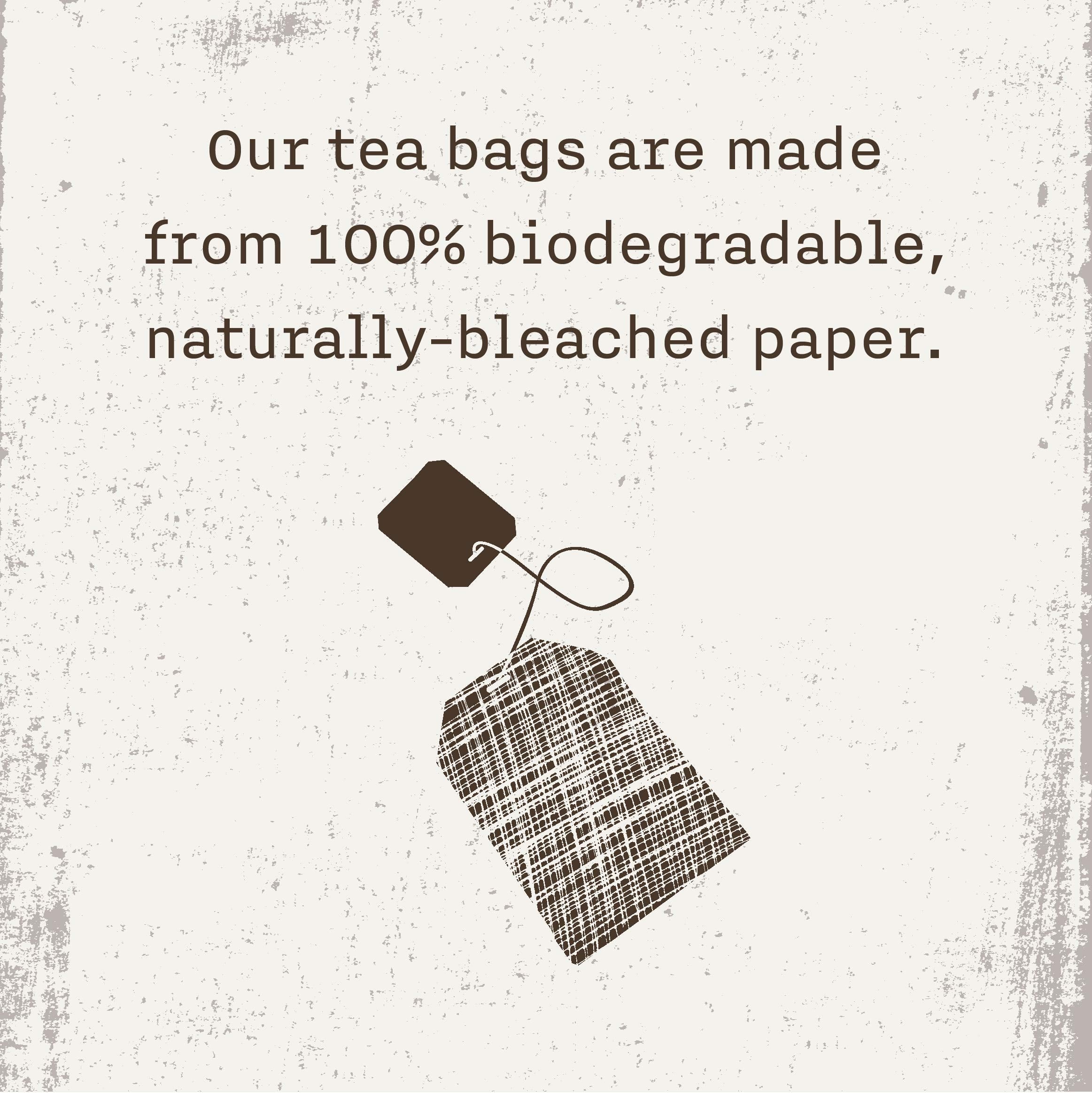 Eco-friendly Allegro Tea packaging supports sustainable tea moments.