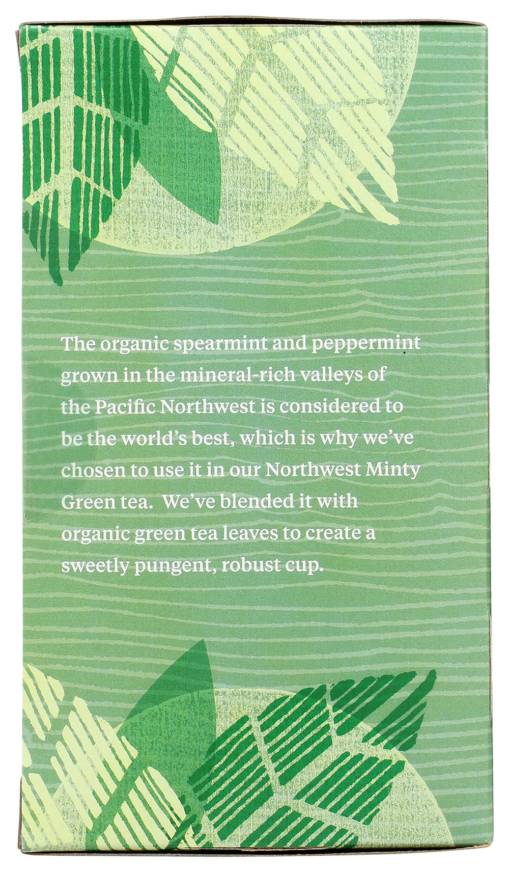 Allegro Tea sustainable packaging emphasizing eco-friendly choice.