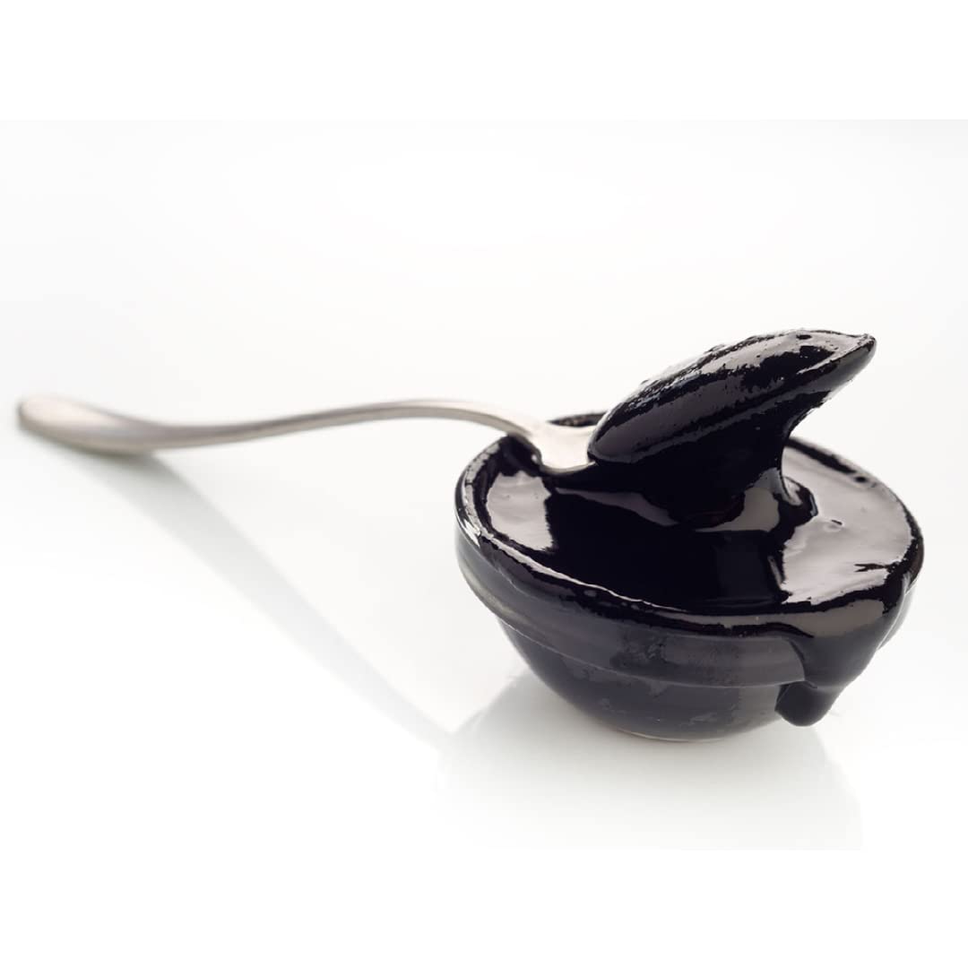 Alma Gourmet squid ink in a bowl enriching risotto with briny depth.