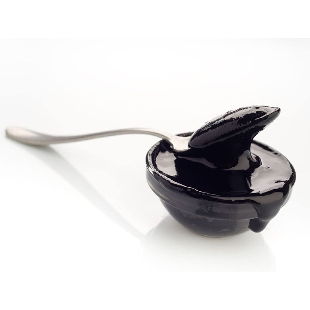 Alma Gourmet squid ink in a bowl enriching risotto with briny depth.