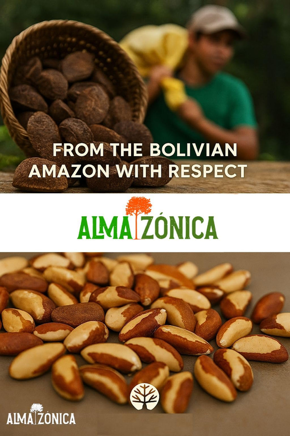 ALMA ZÓNICA raw Brazil nuts in pantry bag, ideal for everyday nutrition.