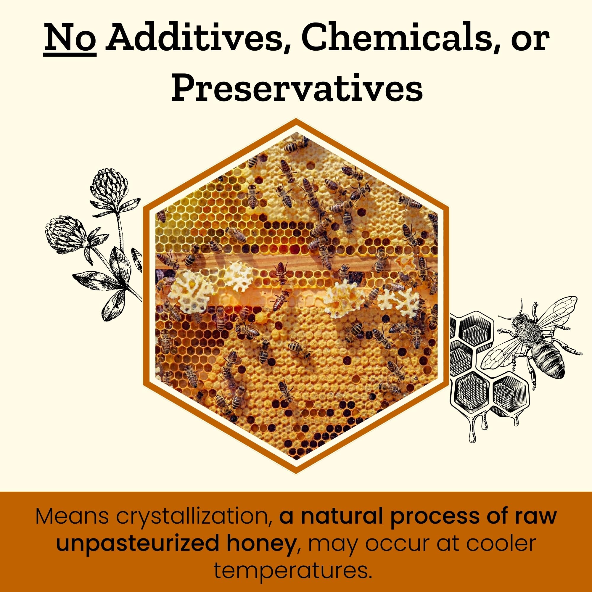 Altay Meadows Acacia Honey drizzle over cheese, enhancing flavor with subtle sweetness.