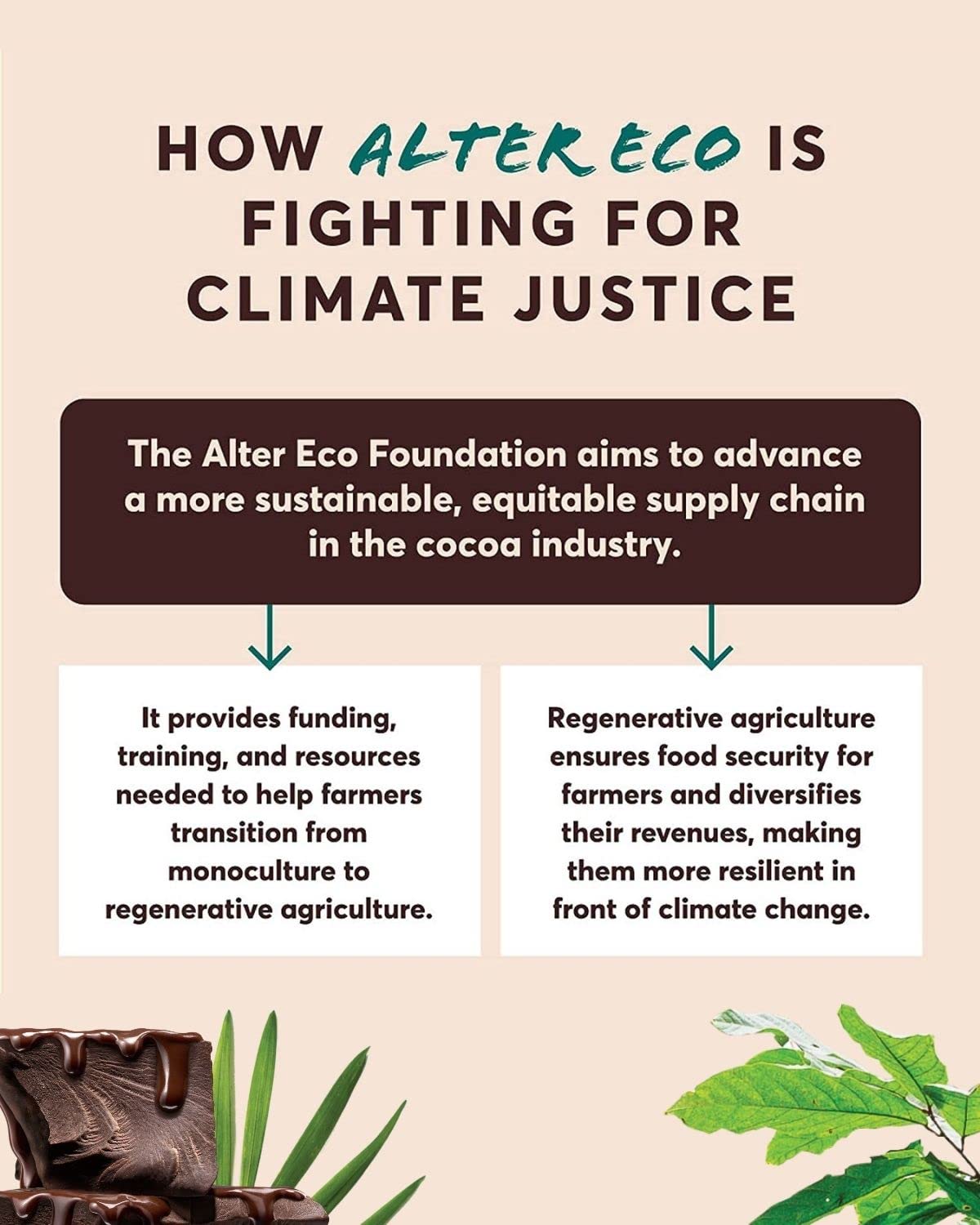 Alter Eco recyclable box with FSC certification supports responsible sourcing.