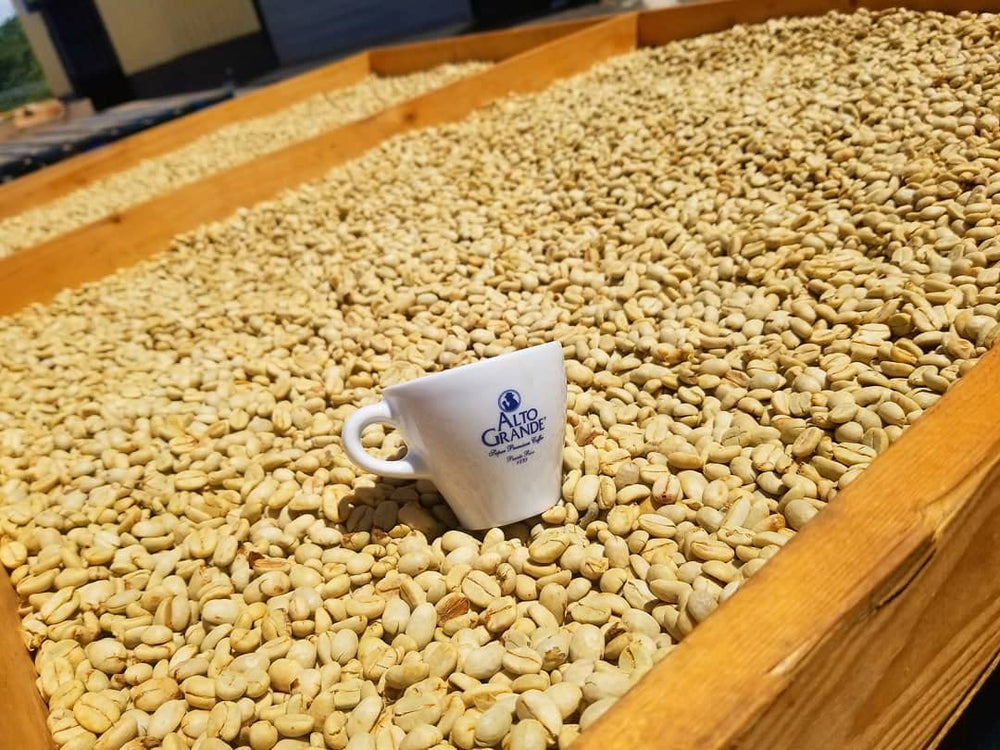 Steaming cup of Alto Grande ready for a satisfying taste experience.