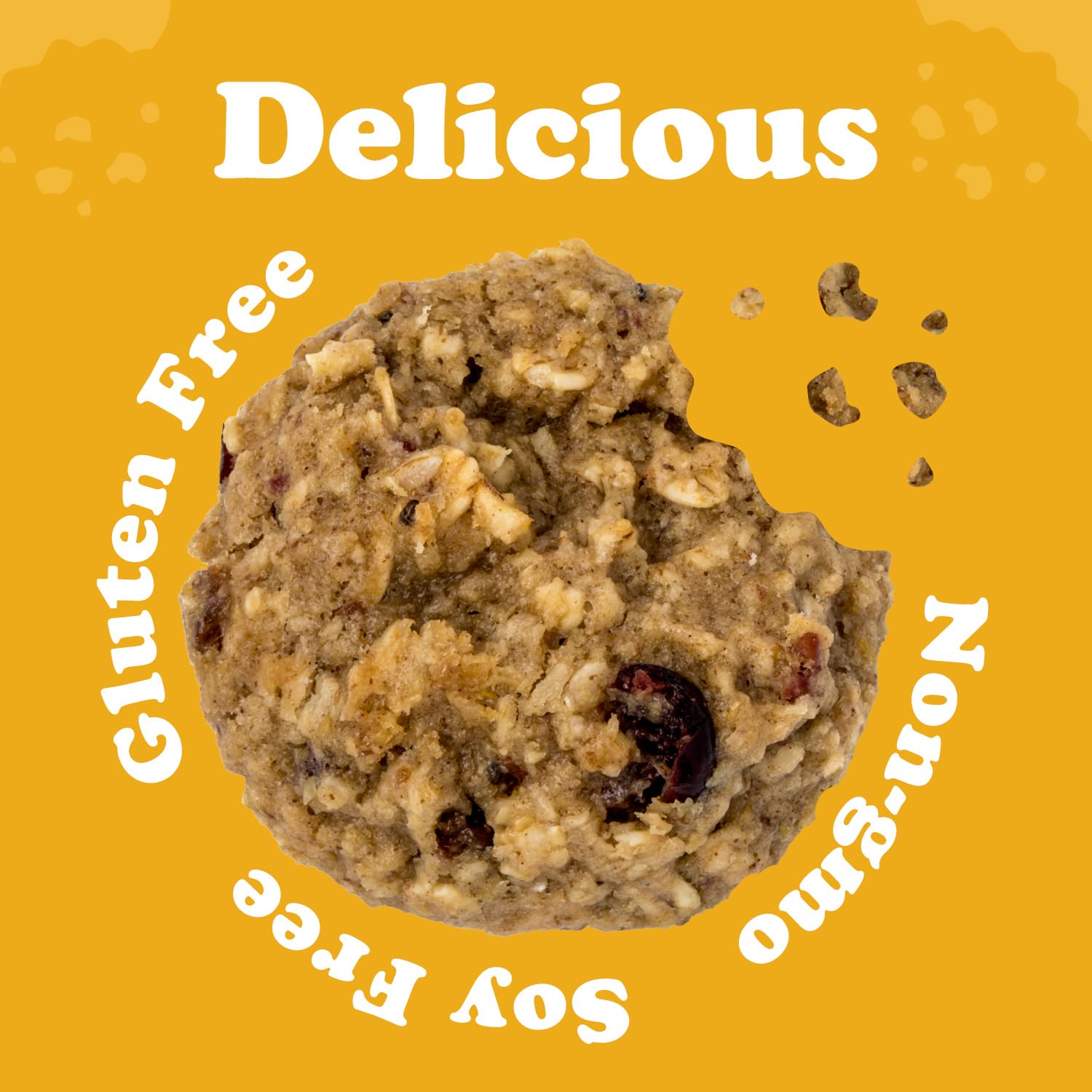 Alyssa's Vegan Oatmeal Bites on-the-go pack - great for snacks.