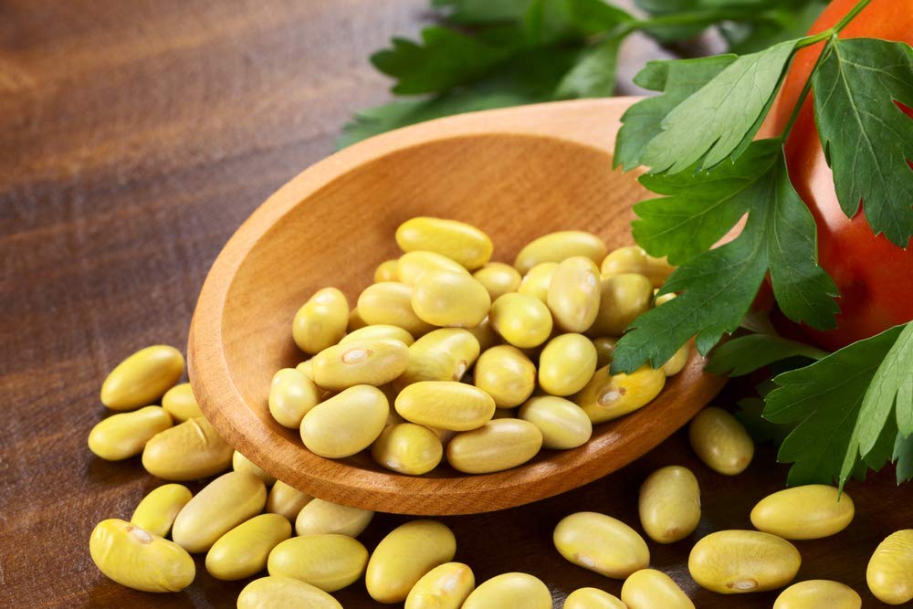Amazing Chiles & Spices canary beans soup serving — hearty base with rich flavor.