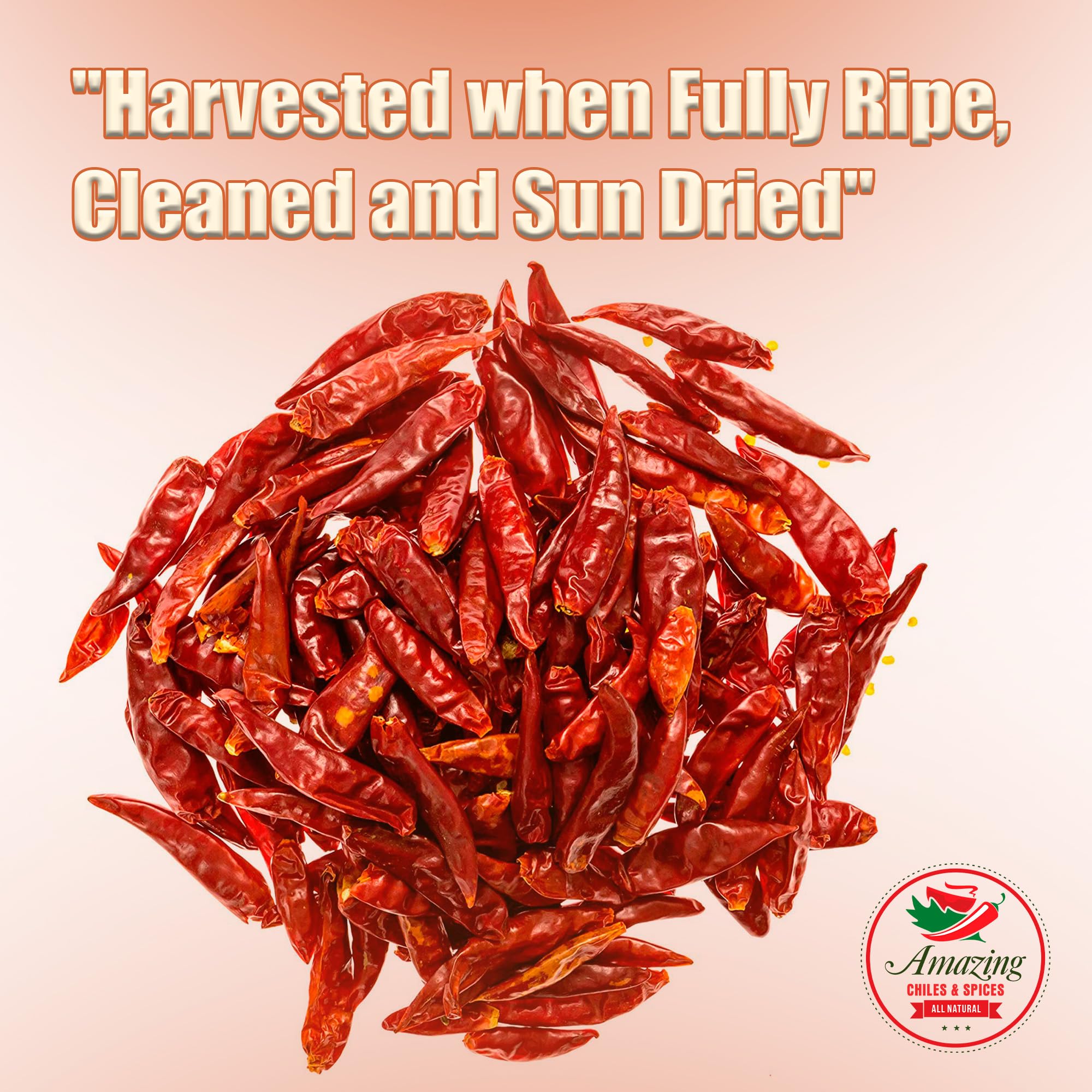 Amazing Chiles Chile De Arbol – use in sauces and salsas for flavor.
