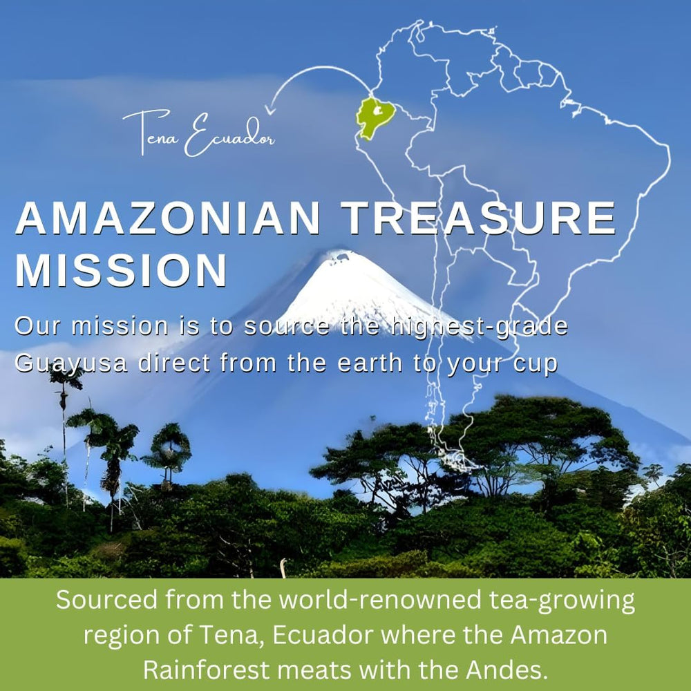 Guayusa tea leaves closeup reveal vibrant, antioxidant-rich aroma from Amazonian Treasure.