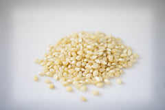 Amish Country Popcorn baby white kernels close-up ready to pop.