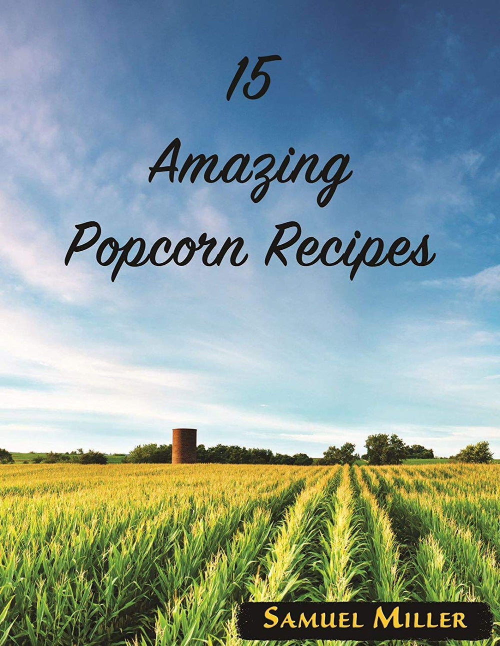 Amish Country Popcorn Buttery Topping snack ideas display for quick drizzle.