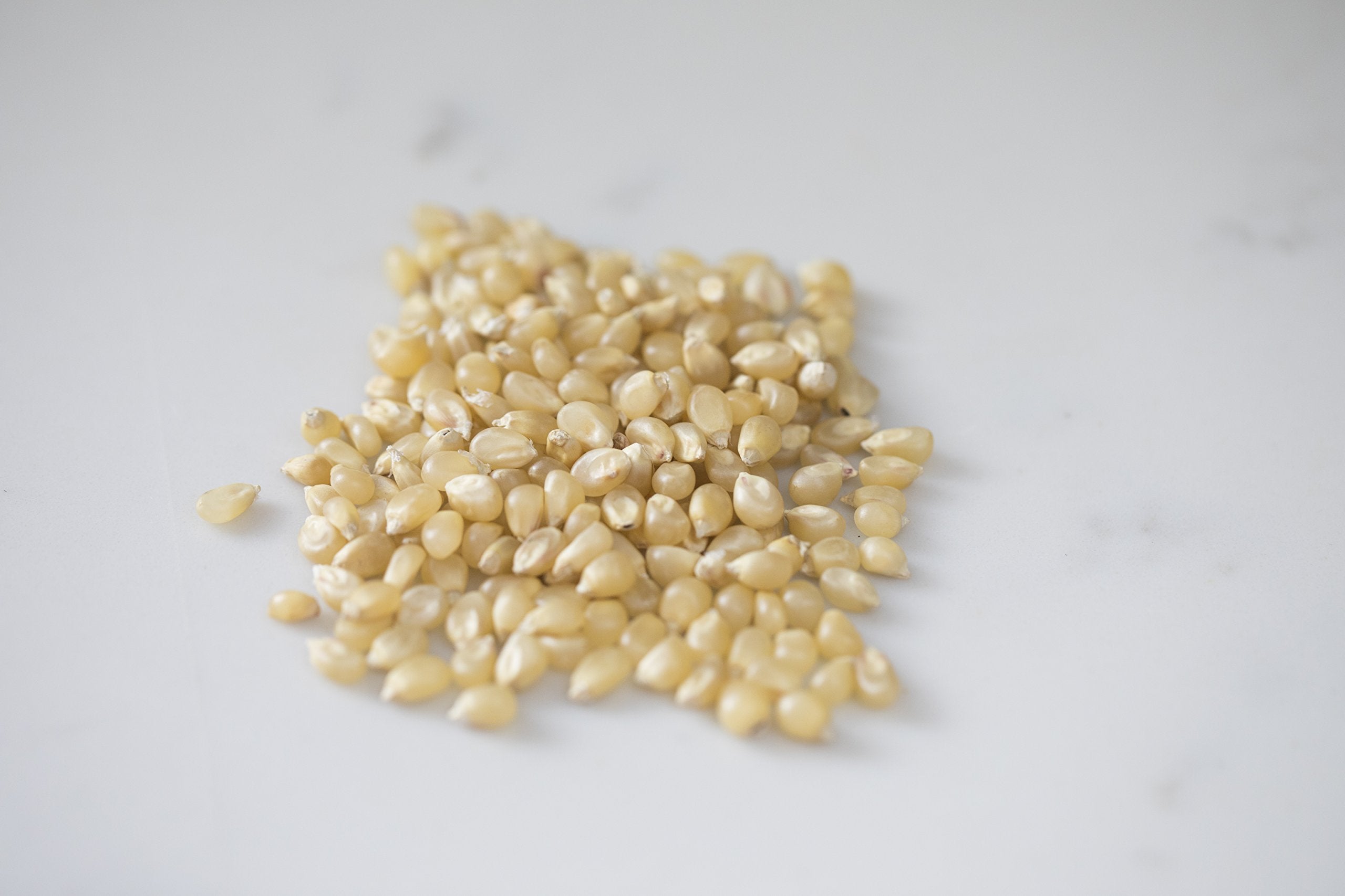 Amish Country Popcorn hand-selected kernels ensure consistent quality and freshness.