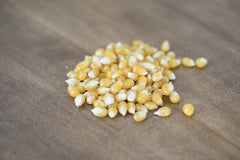 Amish Country Popcorn kernels close-up showing quality for consistent popping