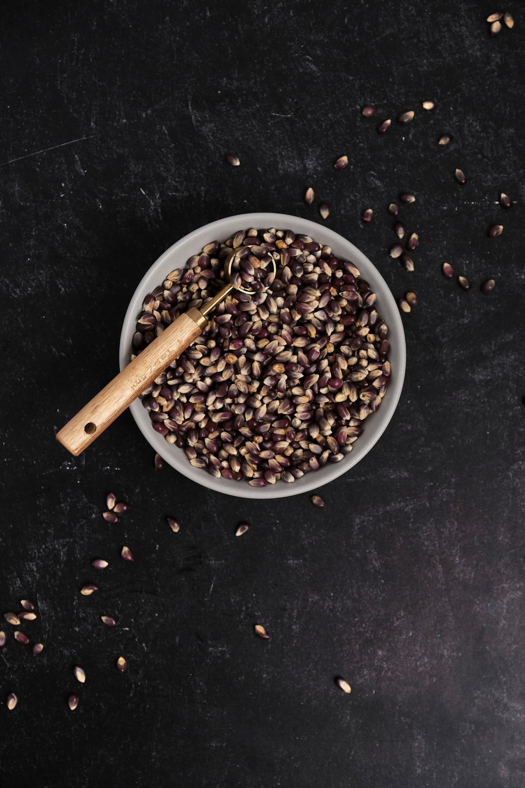 Amish Country Popcorn Midnight Blue ready to pop in a cozy kitchen.