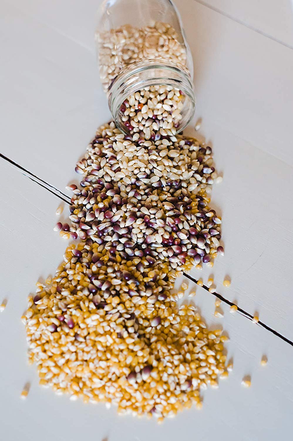 Amish Country Popcorn three-bag pack, stored in pantry.