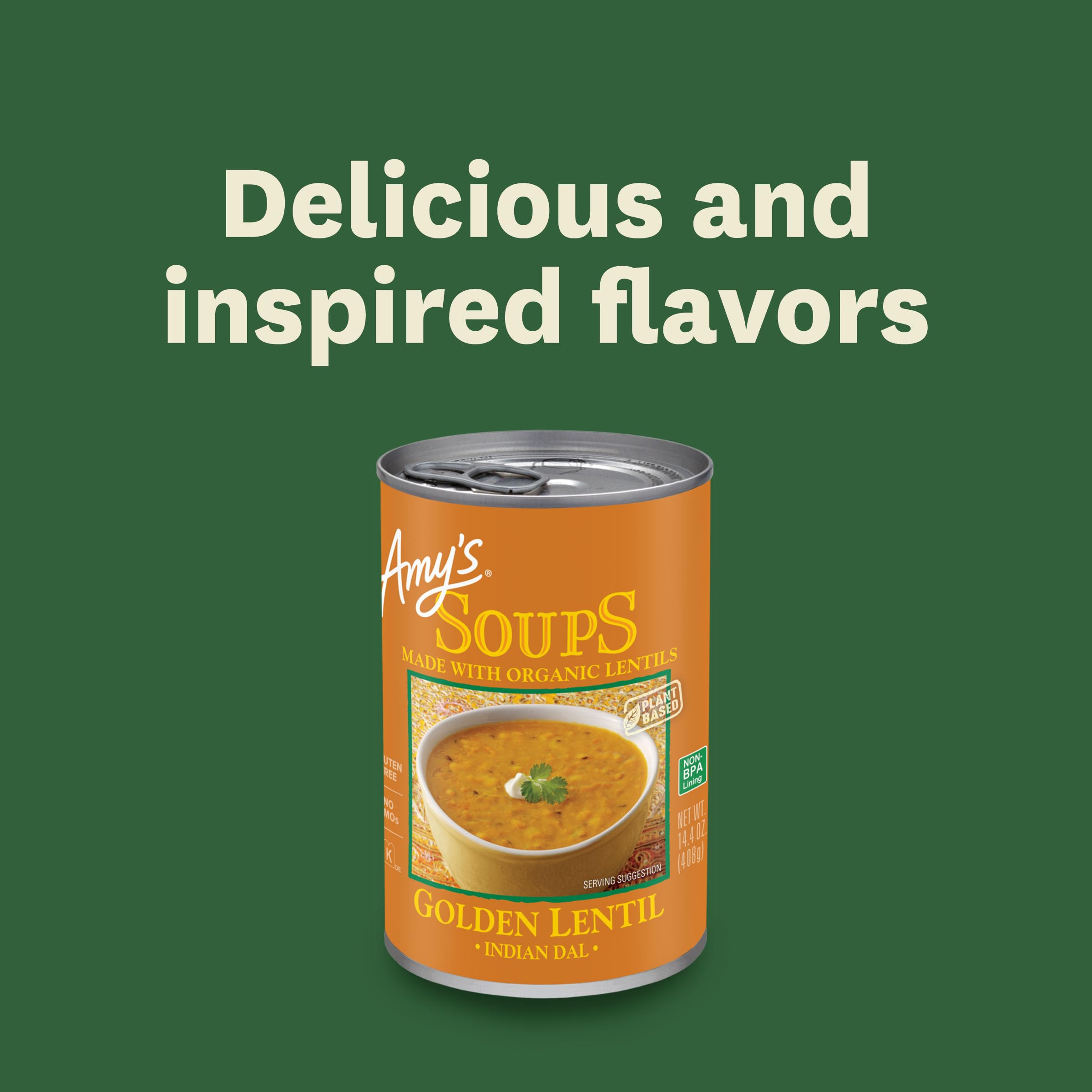 Vegan, gluten-free, dairy-free attributes on Amy's pack.