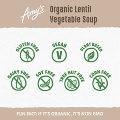 Amy's Lentil Vegetable Soup in a bowl, steaming and comforting dinner.