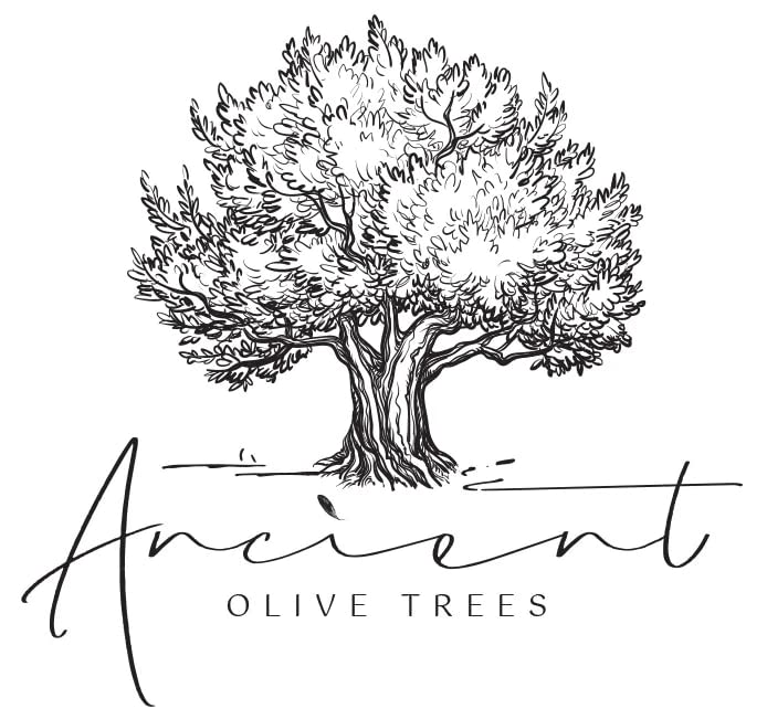 Ancient Olive Trees olive brine holding glass accenting cocktail night