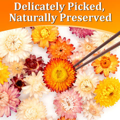 Andekas cupcake-decor petals provide rustic charm for events.