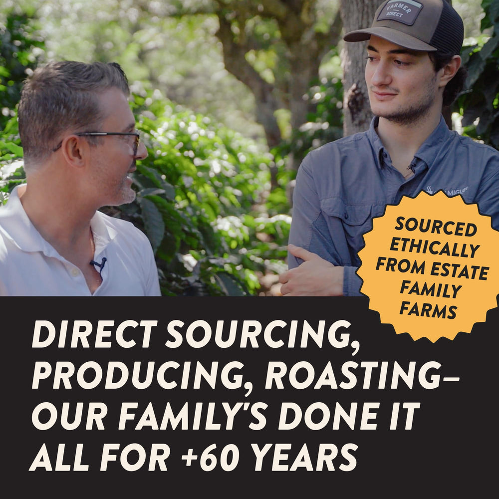 Angelino's Coffee final brew image showcases chocolate and citrus notes