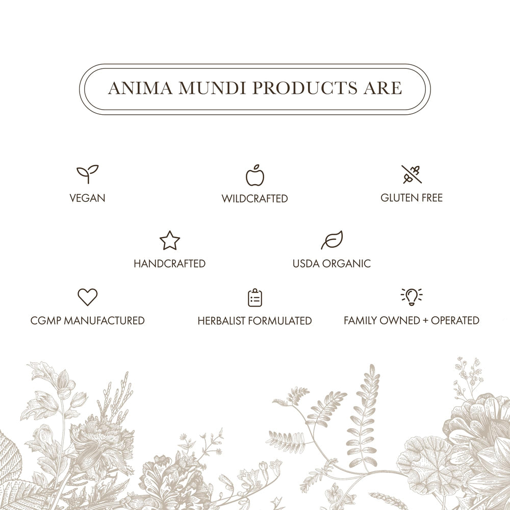 Anima Mundi rose petal powder used to craft a comforting latte with a rose hint.