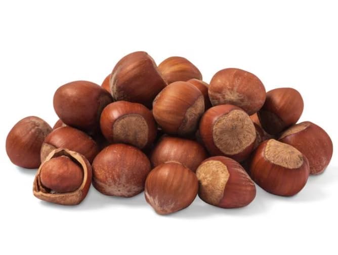 Anna and Sarah Oregon hazelnuts in shell close-up showing rich texture