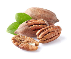 Anna and Sarah pecans in shell closeup, showcasing fresh, natural texture.