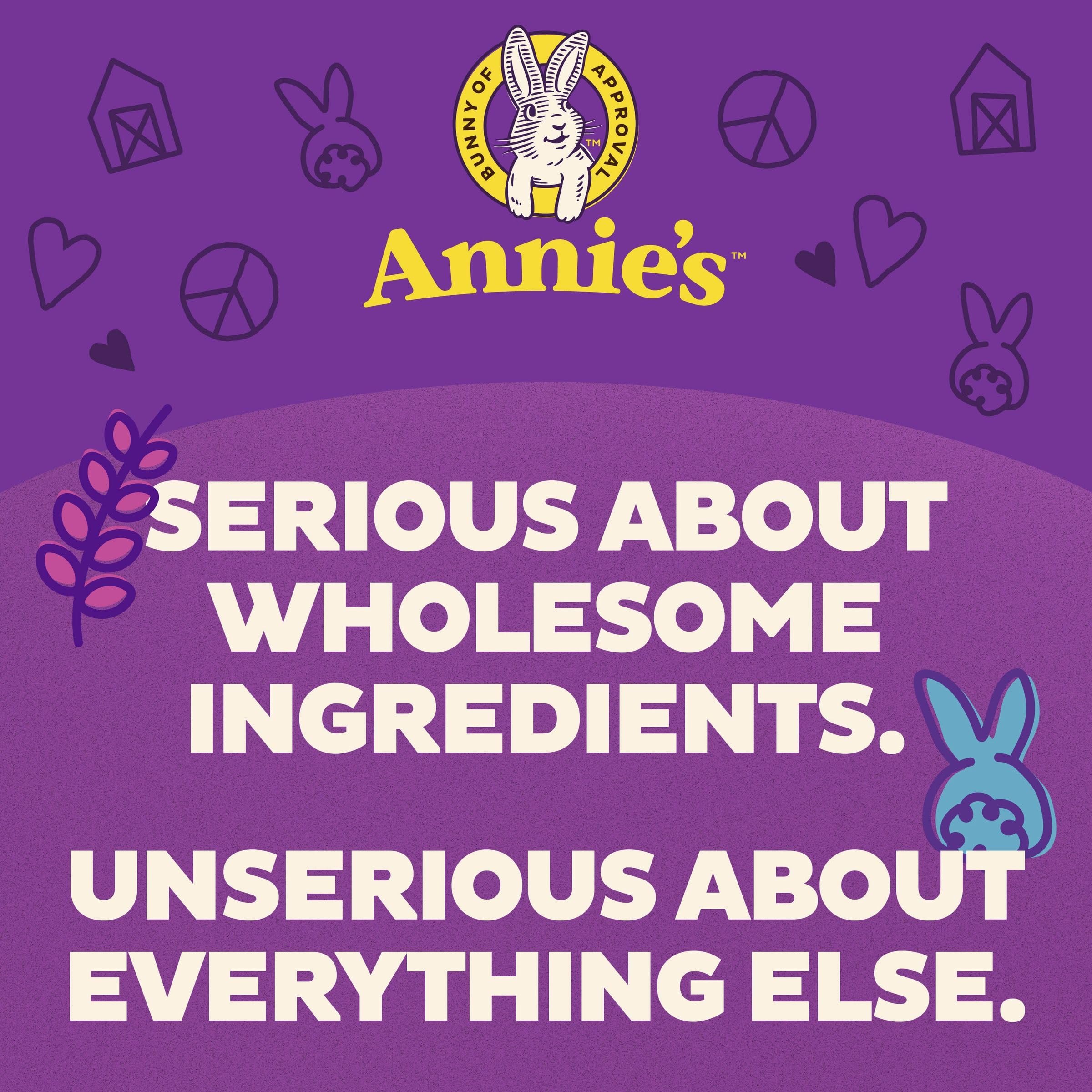 Annie's Homegrown family-friendly snack for lunchboxes