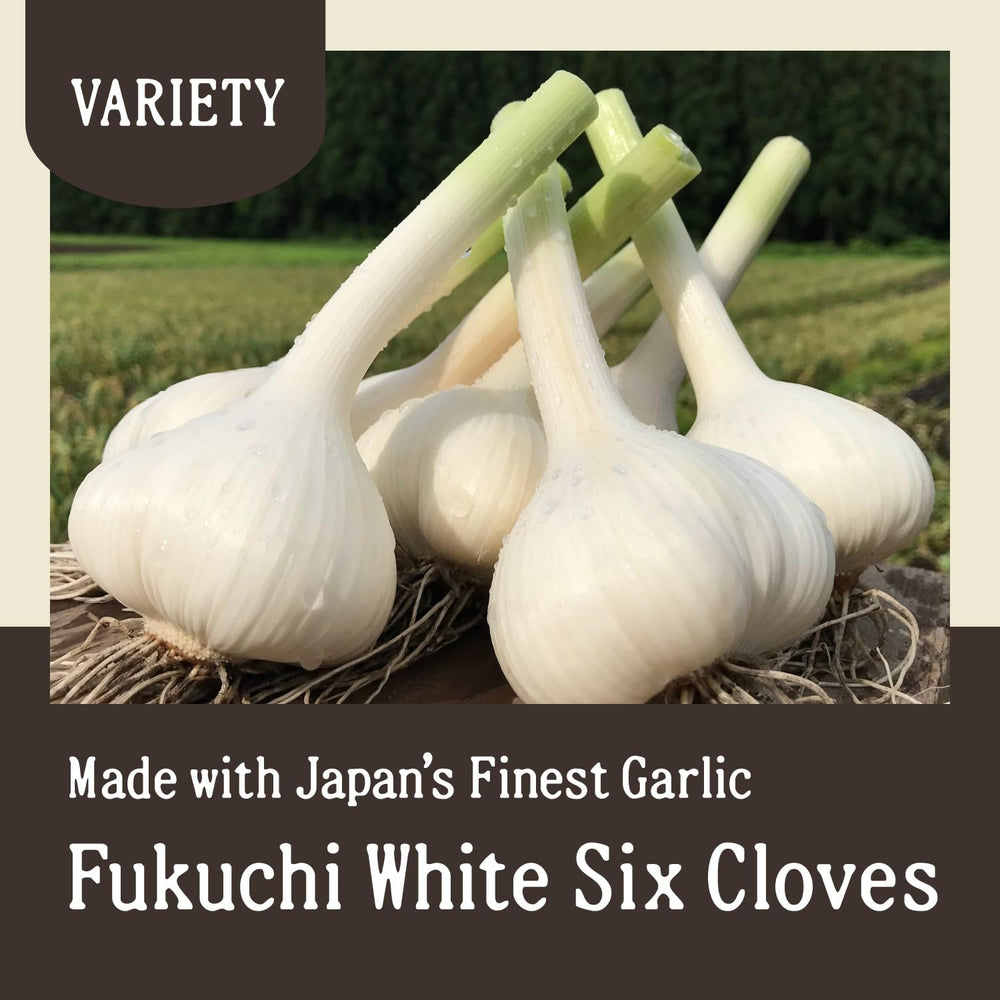 Aomori Farm Black Garlic closeup of glossy bulbs