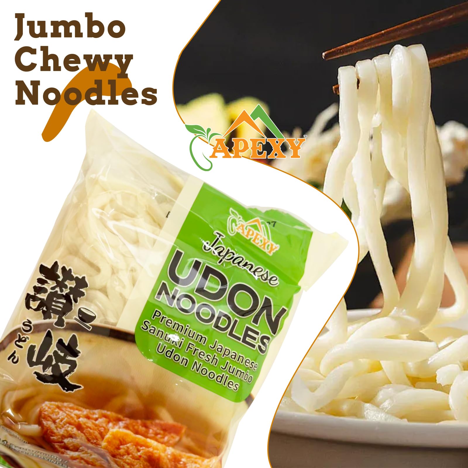 APEXY udon noodles with dipping dish for cold noodle meals