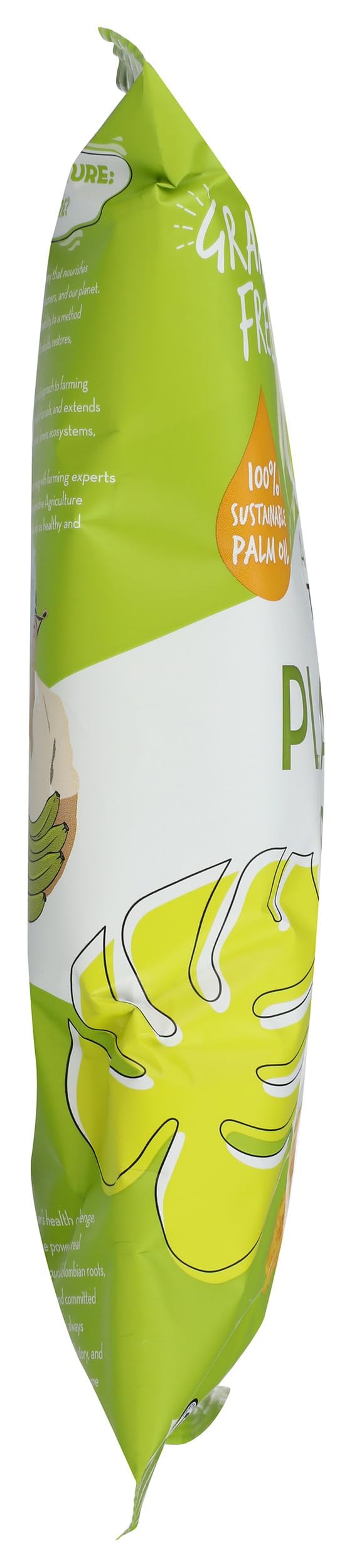 Artisan Tropic Sea Salt Plantain Chips on a pantry shelf for quick snacking