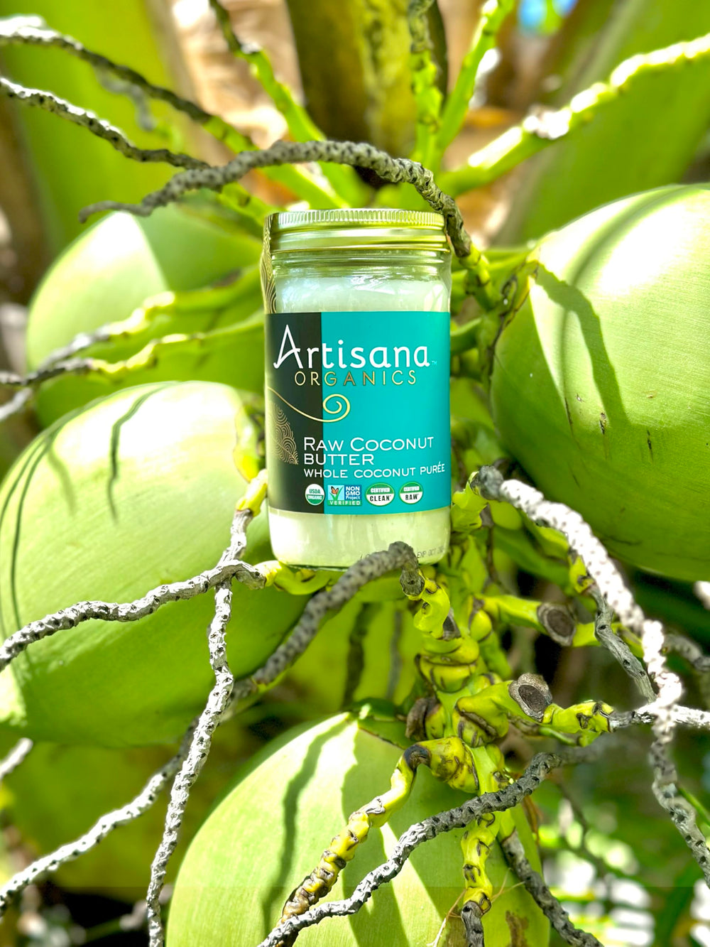Artisana Organics coconut butter bottle with smooth, velvety spread for baking