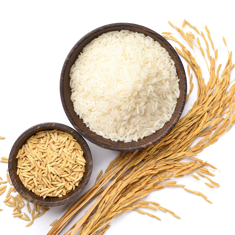 Asian Best Jasmine Rice fluffy grains on a clean counter ideal for daily meals.