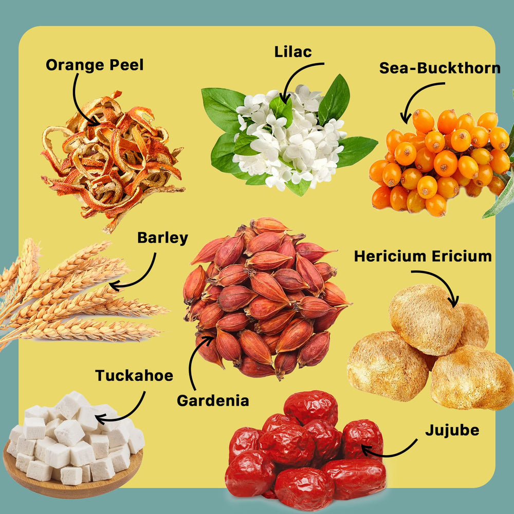 Auranic Ulcer Healing Tea natural blend scene, emphasizing pure ingredients and traditional herbal notes.